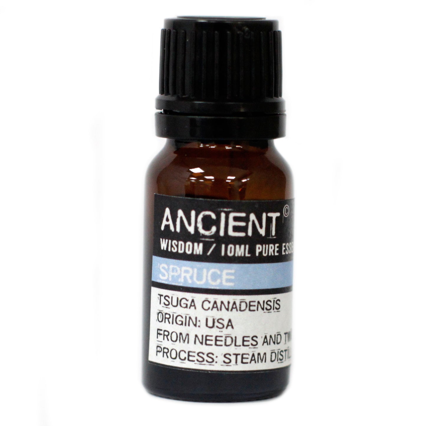 Picea Essential Oil