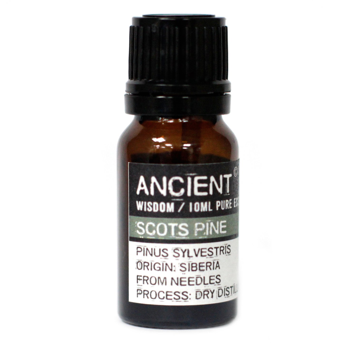 Wild Pine Essential Oil