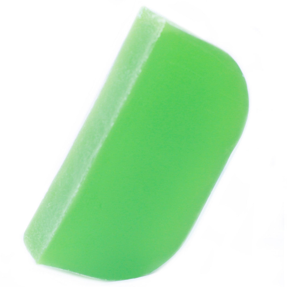 Solid Shampoo - Tomillo and Mint