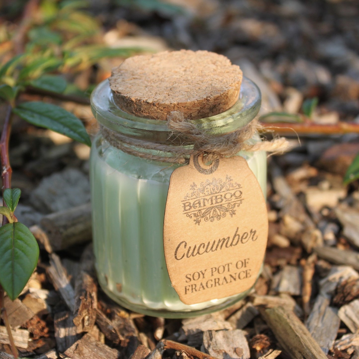 Tarro Soy Wax Candle - Cucumber