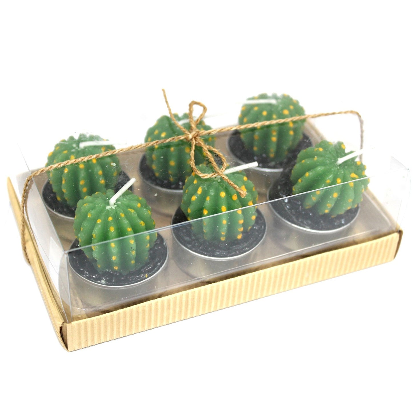 Jeu de 6 bougies chauffe-plat Cactus Barrel dans une boîte cadeau