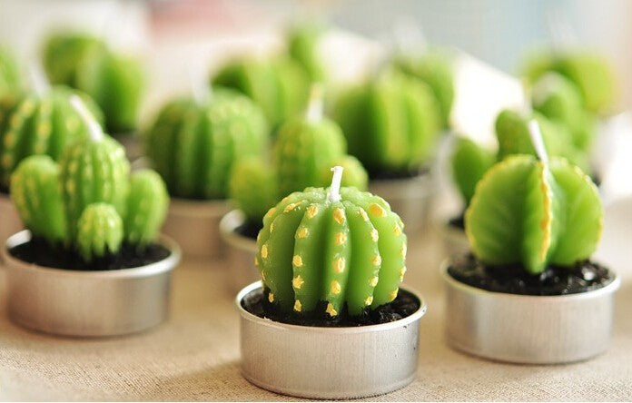 Juego de 6 Tealights Cactus Barril en Caja de Regalo