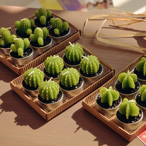 Jeu de 6 bougies chauffe-plat Cactus Barrel dans une boîte cadeau