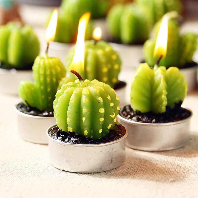 Jeu de 6 bougies chauffe-plat Cactus Barrel dans une boîte cadeau