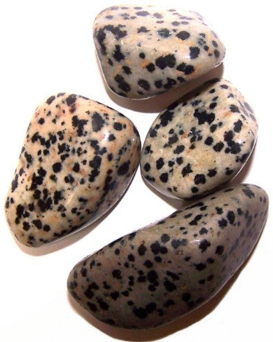 L Tumble Stones - Dalmata