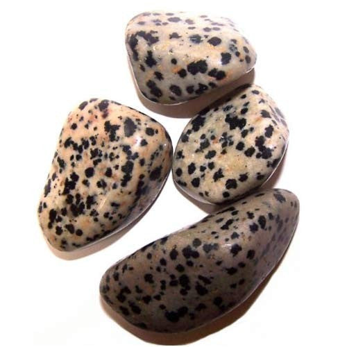 L Tumble Stones - Dalmata