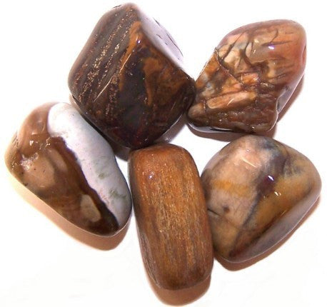 L Tumble Stones - Madera Petrificada