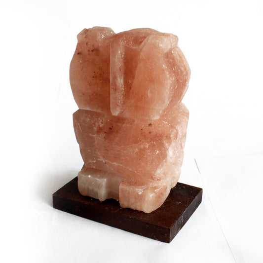 Animal salt lamp - Búho