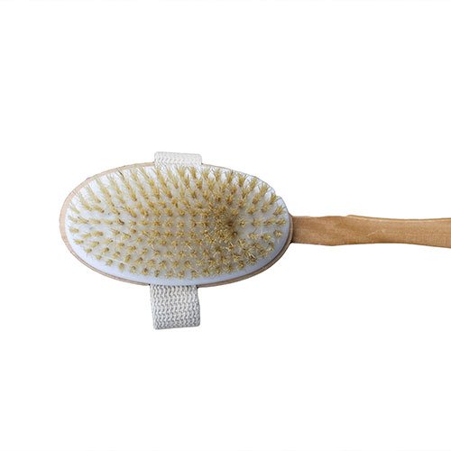 Brosse pour le corps à long manche