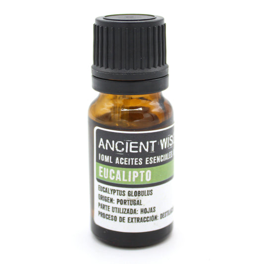 Organic essential oil - Eucalyptus