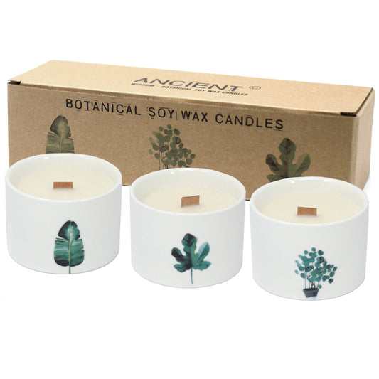 1 Medium Botanical Candle - Japanese Garden (random design)