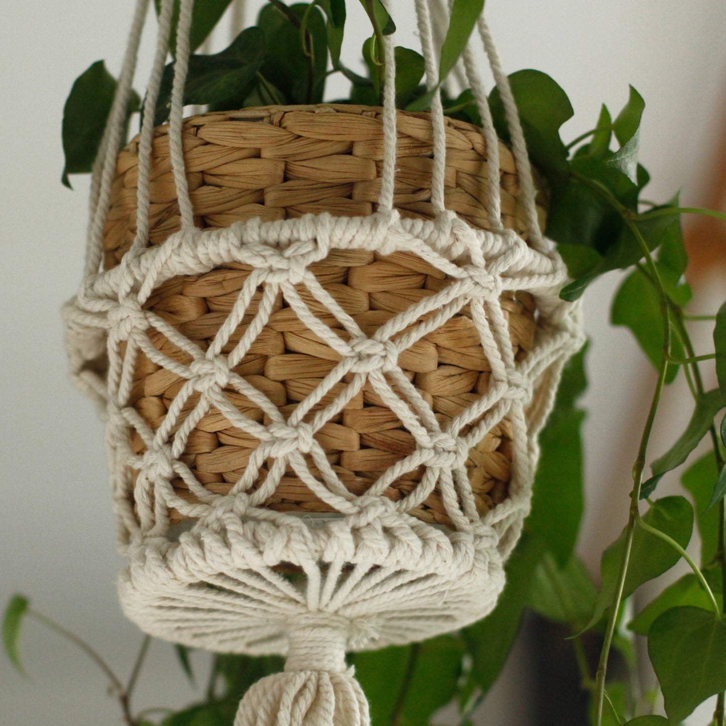 Macrame Macetero - Small