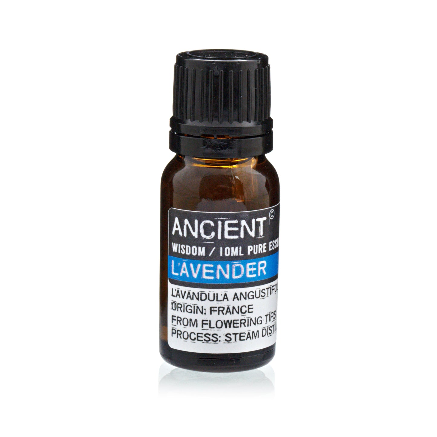 Lavender Essential Oil