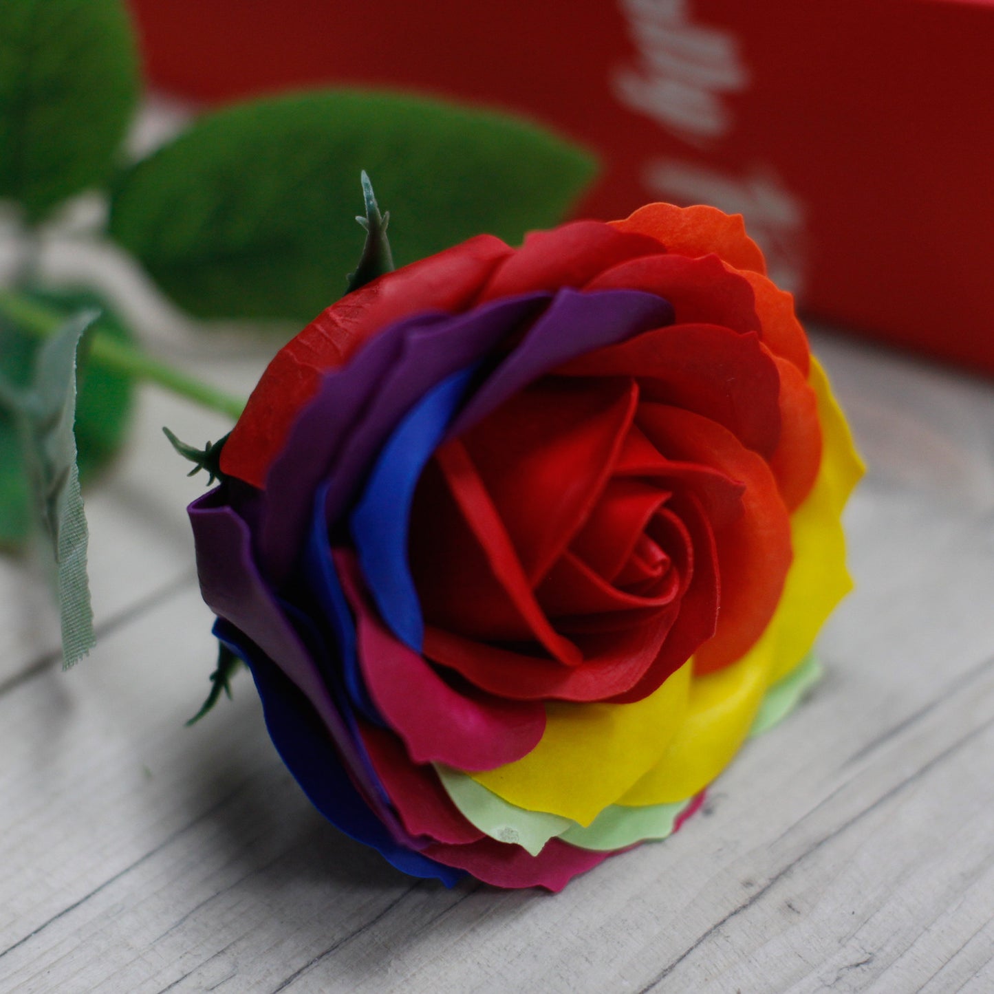 Rose simple - Arc-en-ciel