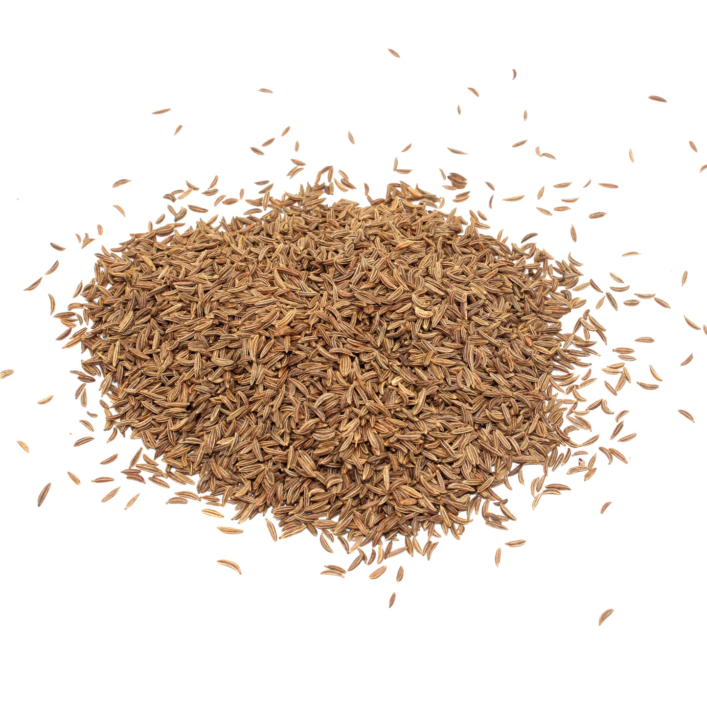 Carvi (grain) 1Kg