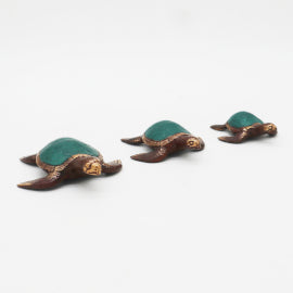 Marinas Tortugas - Lot de 3