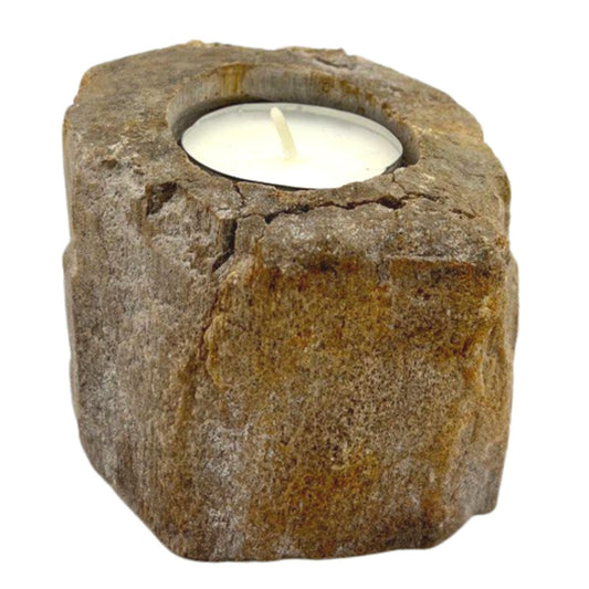 Petrified Wood Candle Holders - Simple Bajo