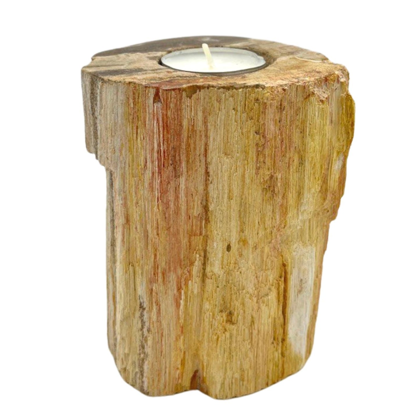 Petrified wood candle holders - Soltero alto