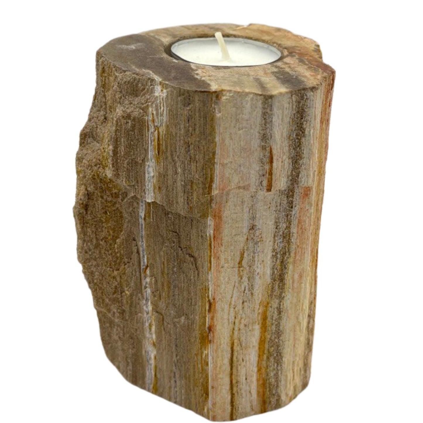 Petrified wood candle holders - Soltero alto