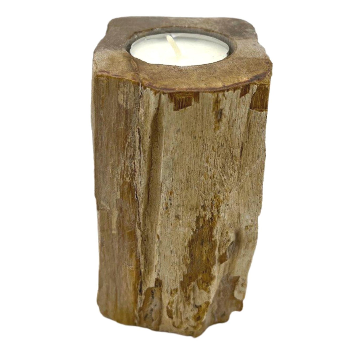 Petrified wood candle holders - Soltero alto