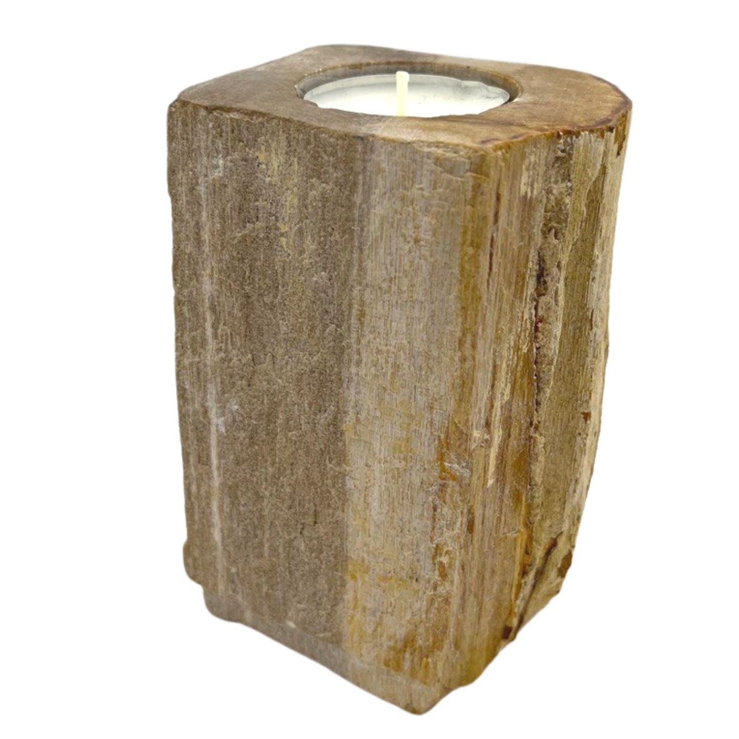 Petrified wood candle holders - Soltero alto