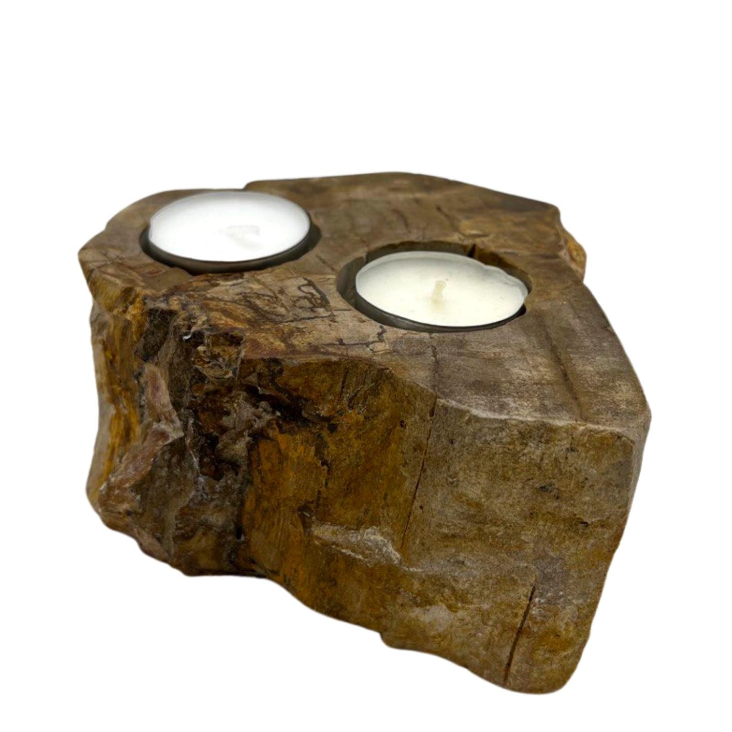 Petrified Wood Candle Holders - Double