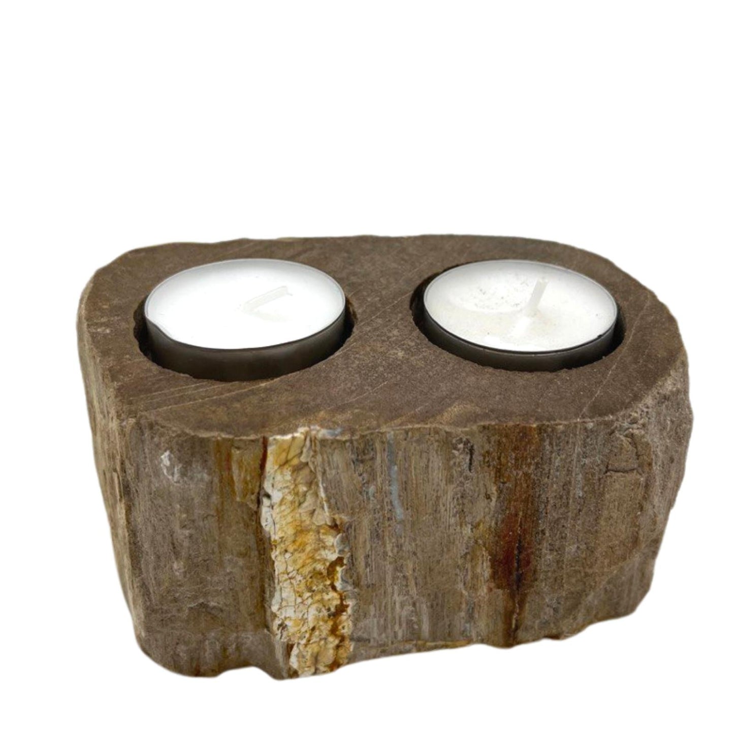 Petrified Wood Candle Holders - Double