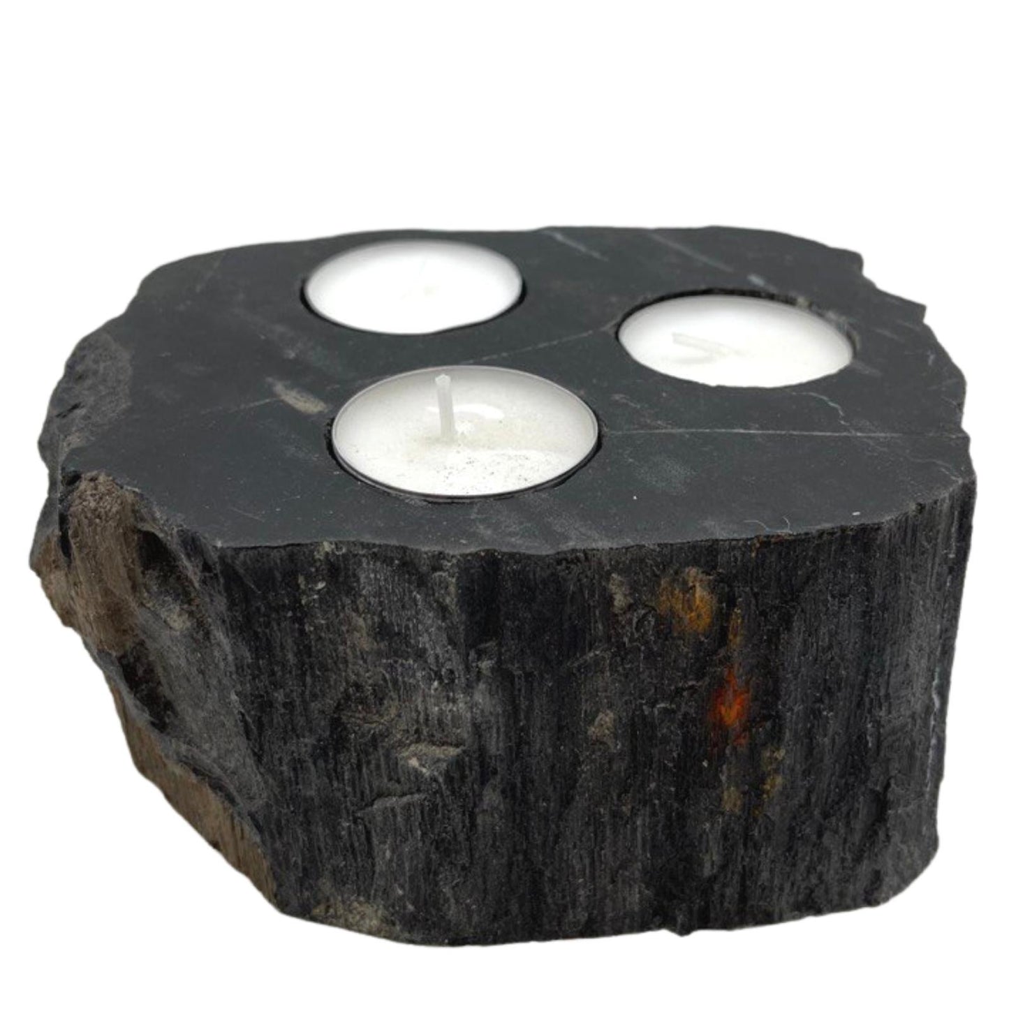 Petrified Wood Candle Holders - Triple