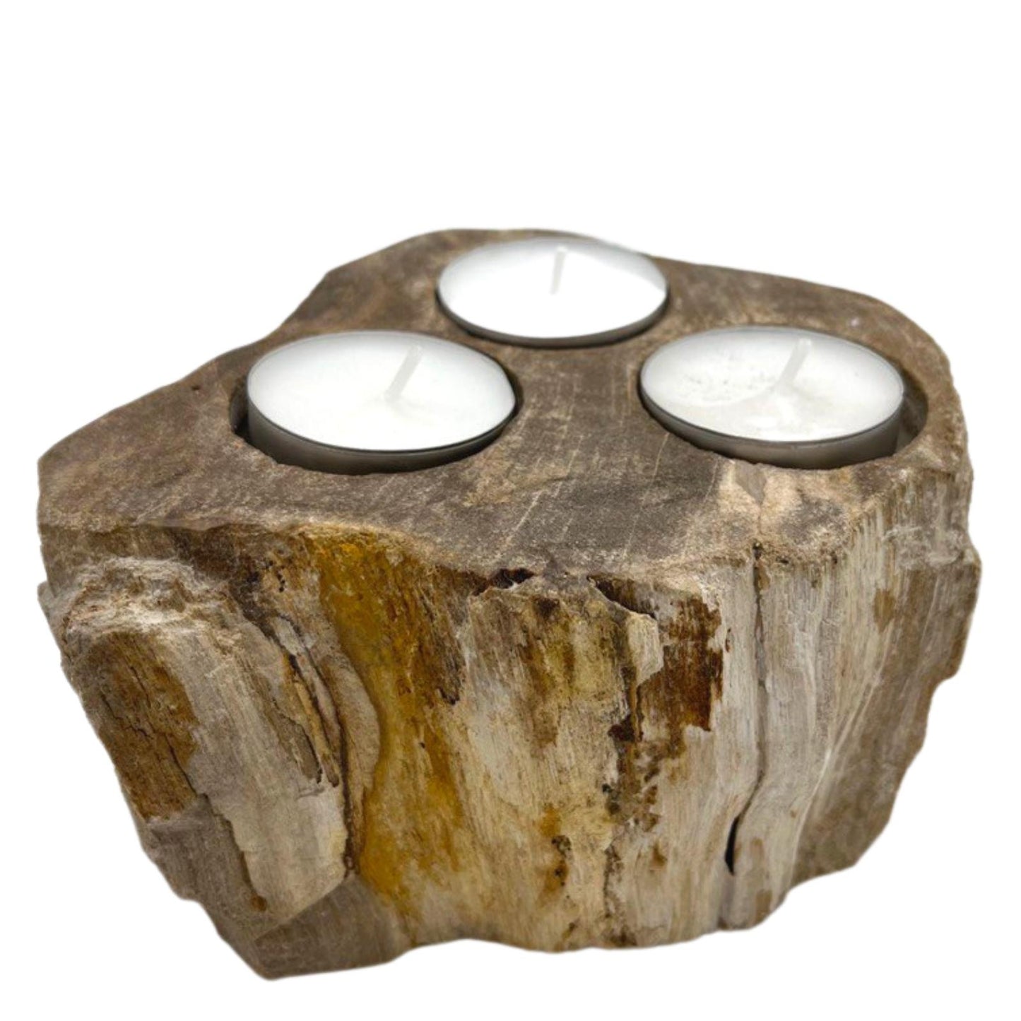 Petrified Wood Candle Holders - Triple