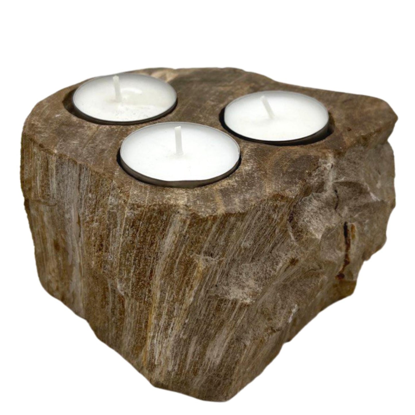 Petrified Wood Candle Holders - Triple