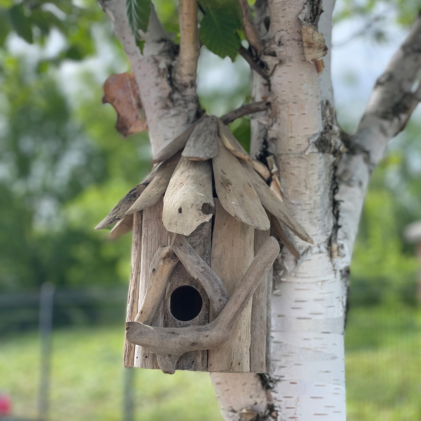 Maison de Pájaros Madera de Balsa - Para Colgar de Pared