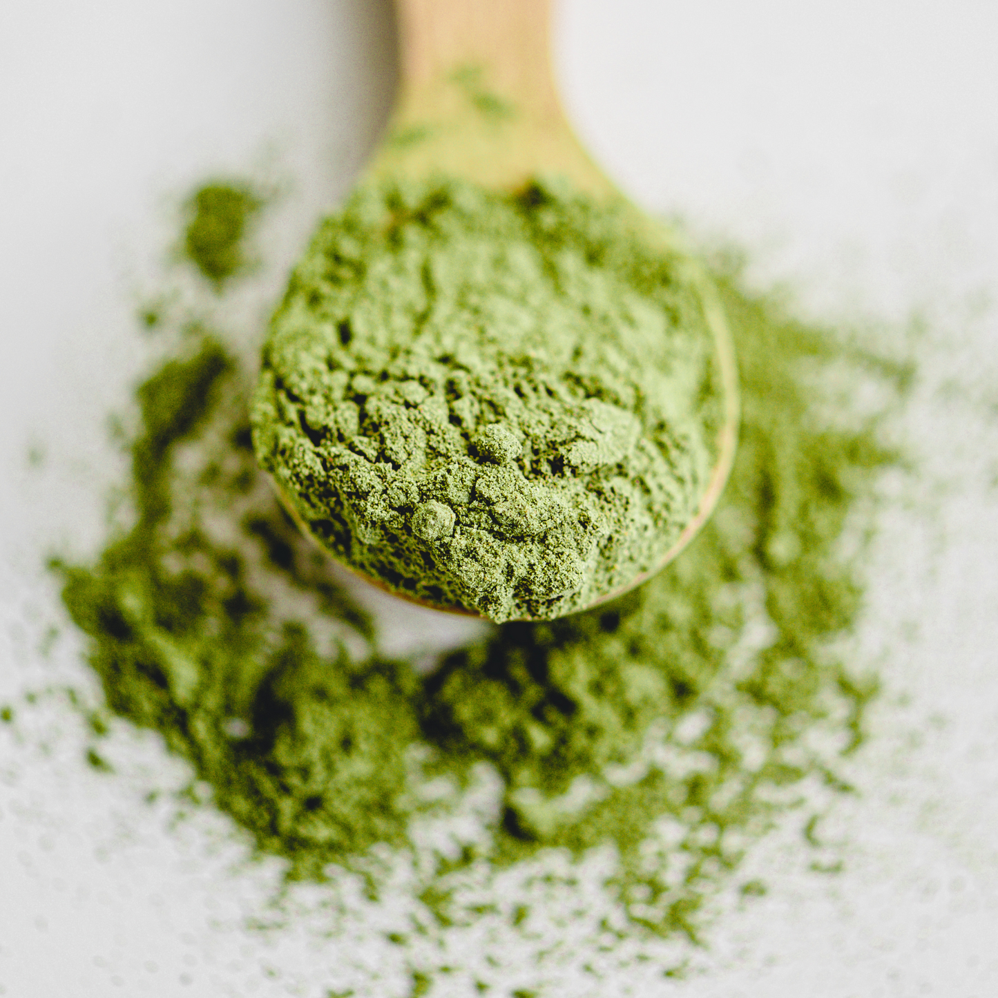 Thé Matcha de Cérémonie Bio