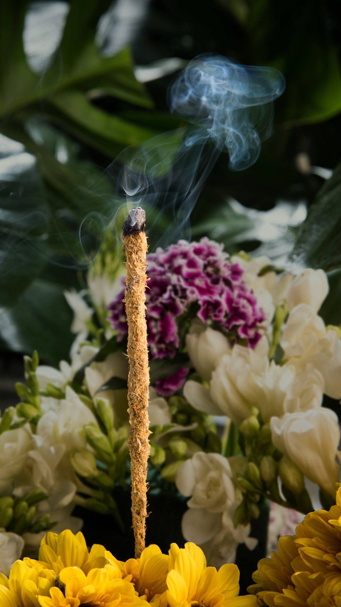 Incense (Sahumerio) Botanical Gardenias Calendula