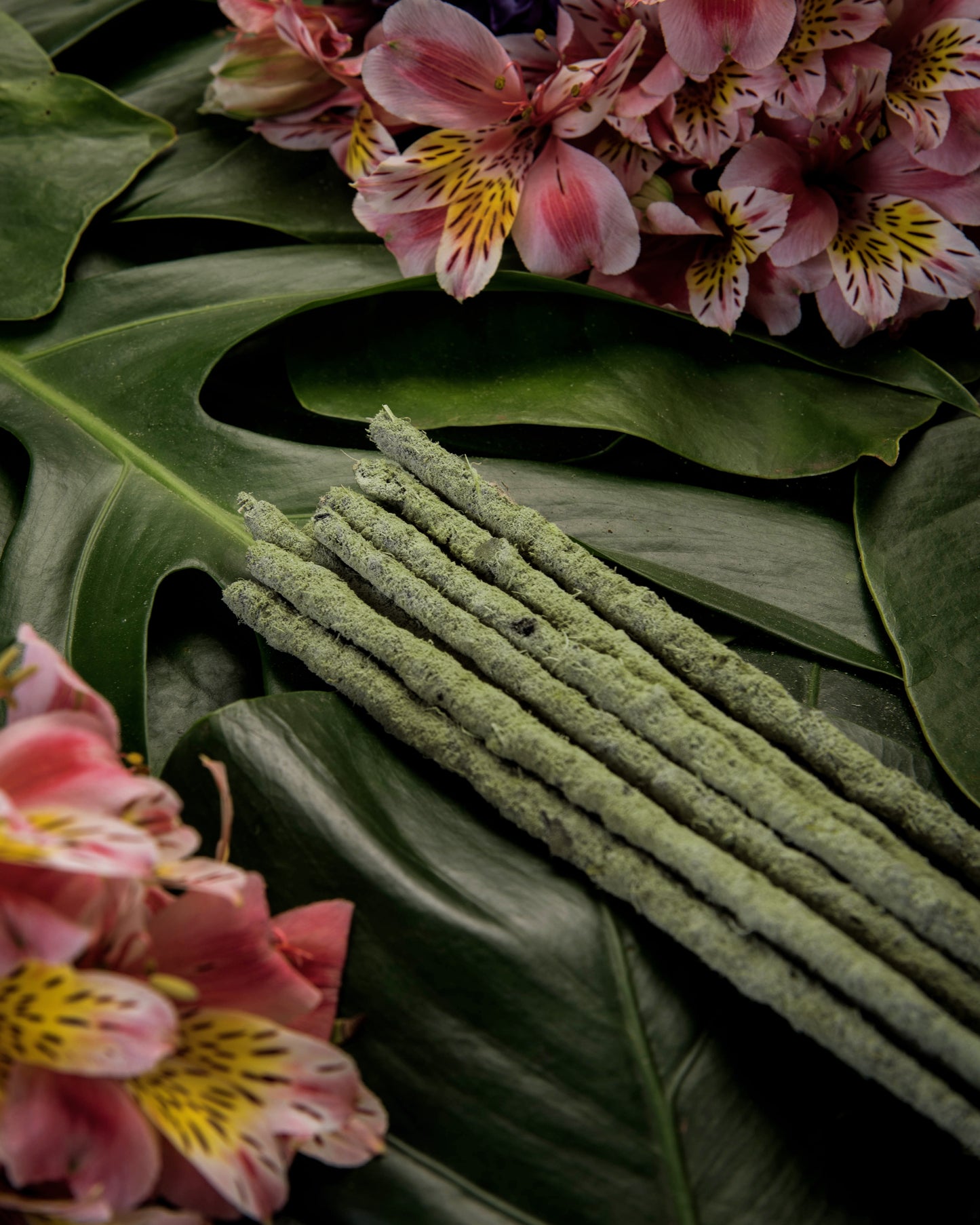 Incense (Sahumerio) Botanical Te Verde - Champa