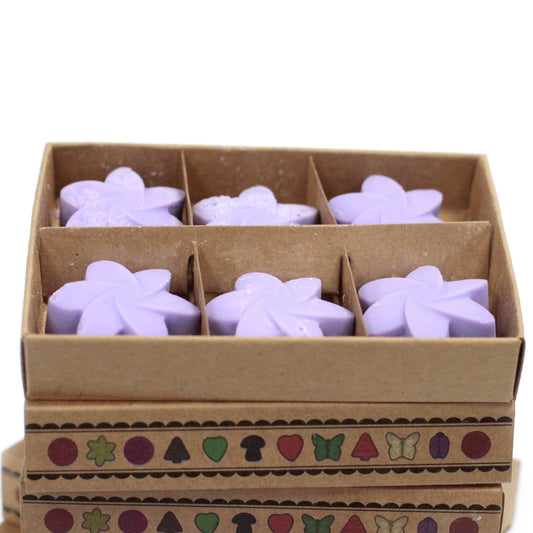 Box of 6 soy waxes - Lavender fields