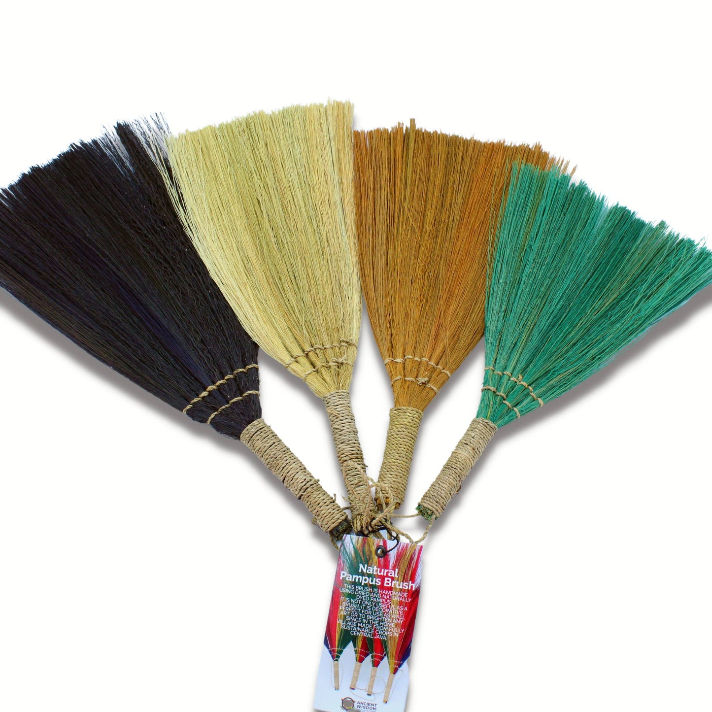 Set 4 - Escoba à Abanico de Pampas - Couleurs et tailles mélangées