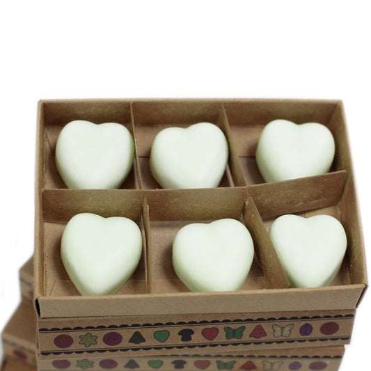 Box of 6 soy waxes - spiced manzana