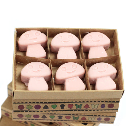 Box of 6 Soy Wax - Coffee