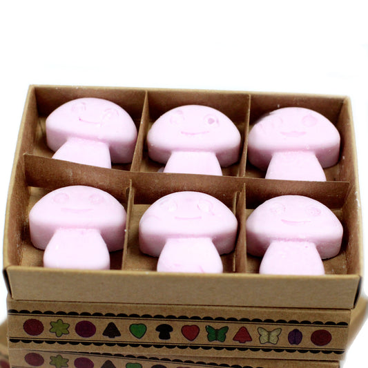 Box of 6 Soy waxes - Ylang Ylang