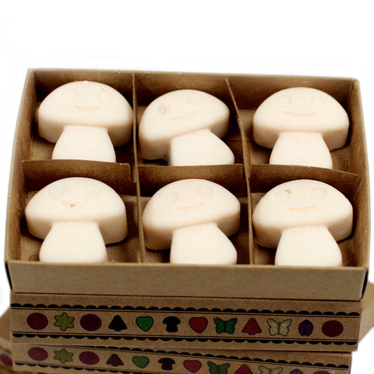 Box of 6 soy waxes - nutmeg and vanilla