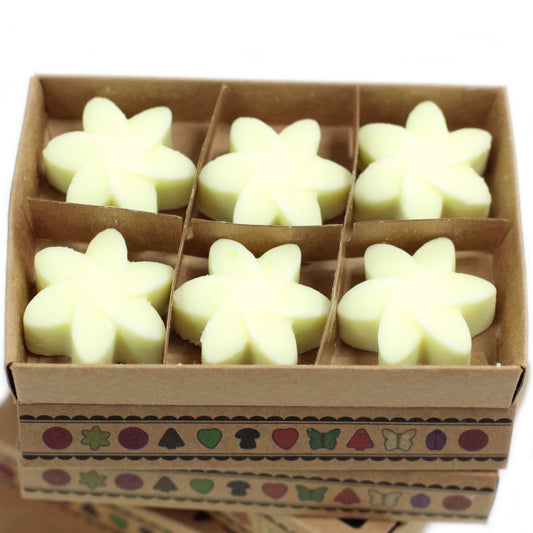 Box of 6 Soy Wax - Limón