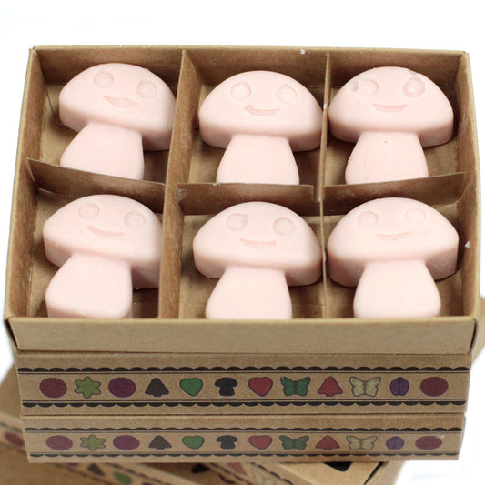 Box of 6 Soy waxes - Ginger