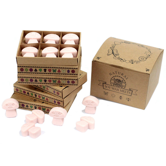 Box of 6 Soy waxes - Sandalwood