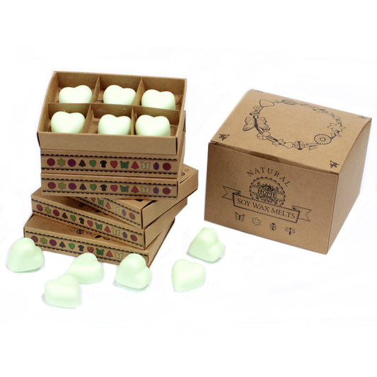 Box of 6 Soy waxes - Mint and menthol