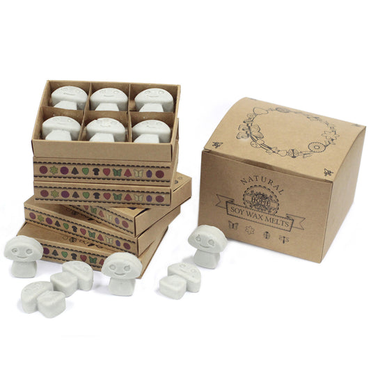 Box of 6 soy waxes - Pachulí