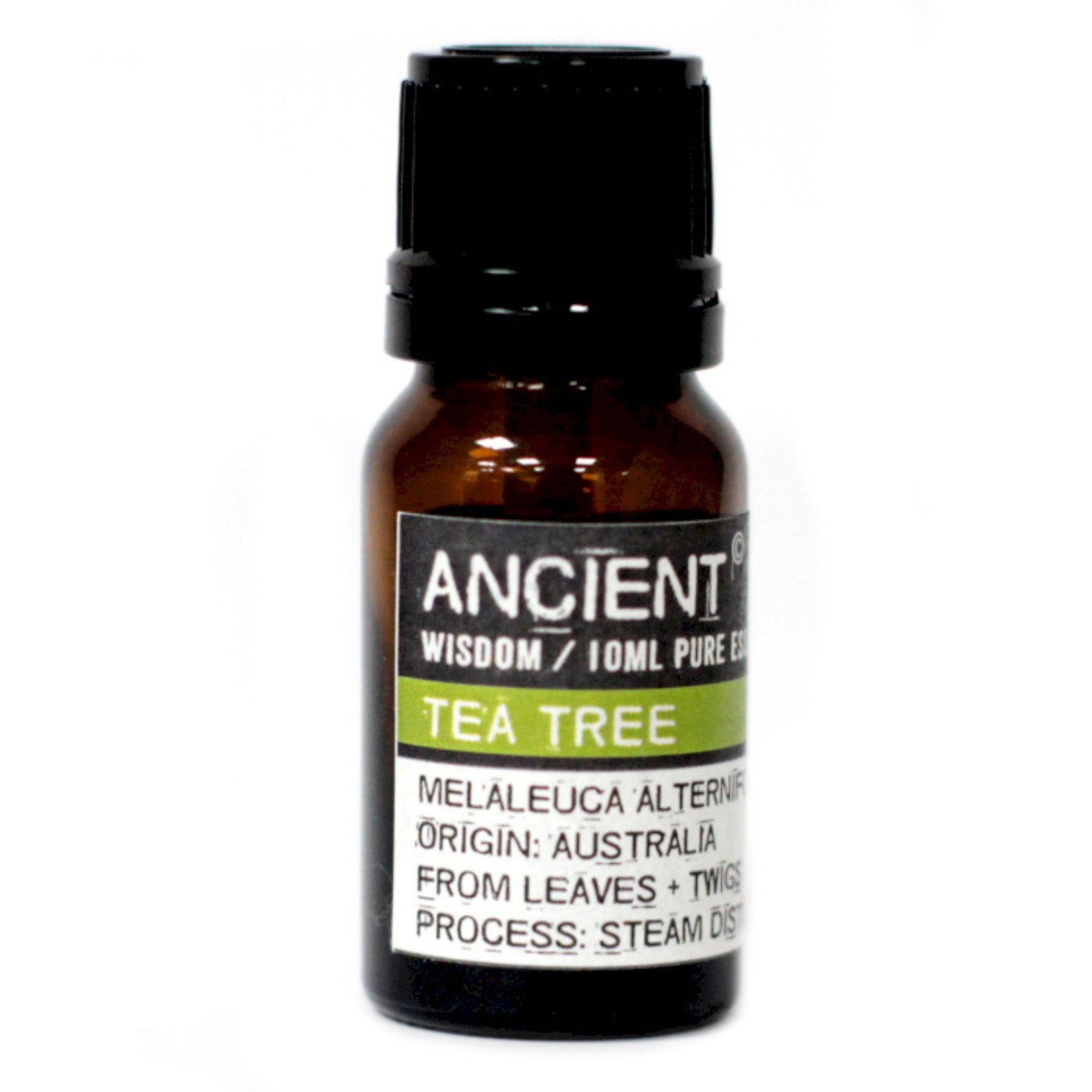 Essential Oil Tree Acceptance