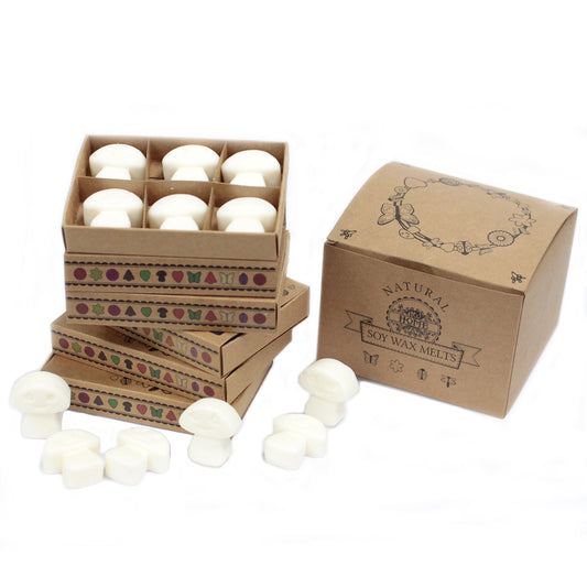 Box of 6 Soy waxes - Almizcle white