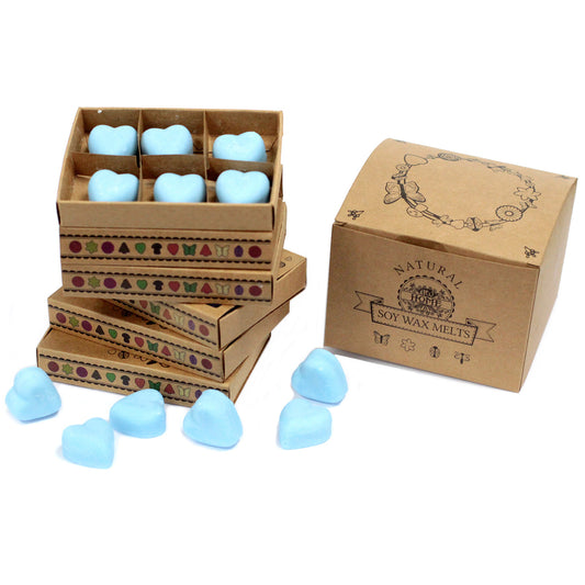 Box of 6 Soy waxes - Drop bay