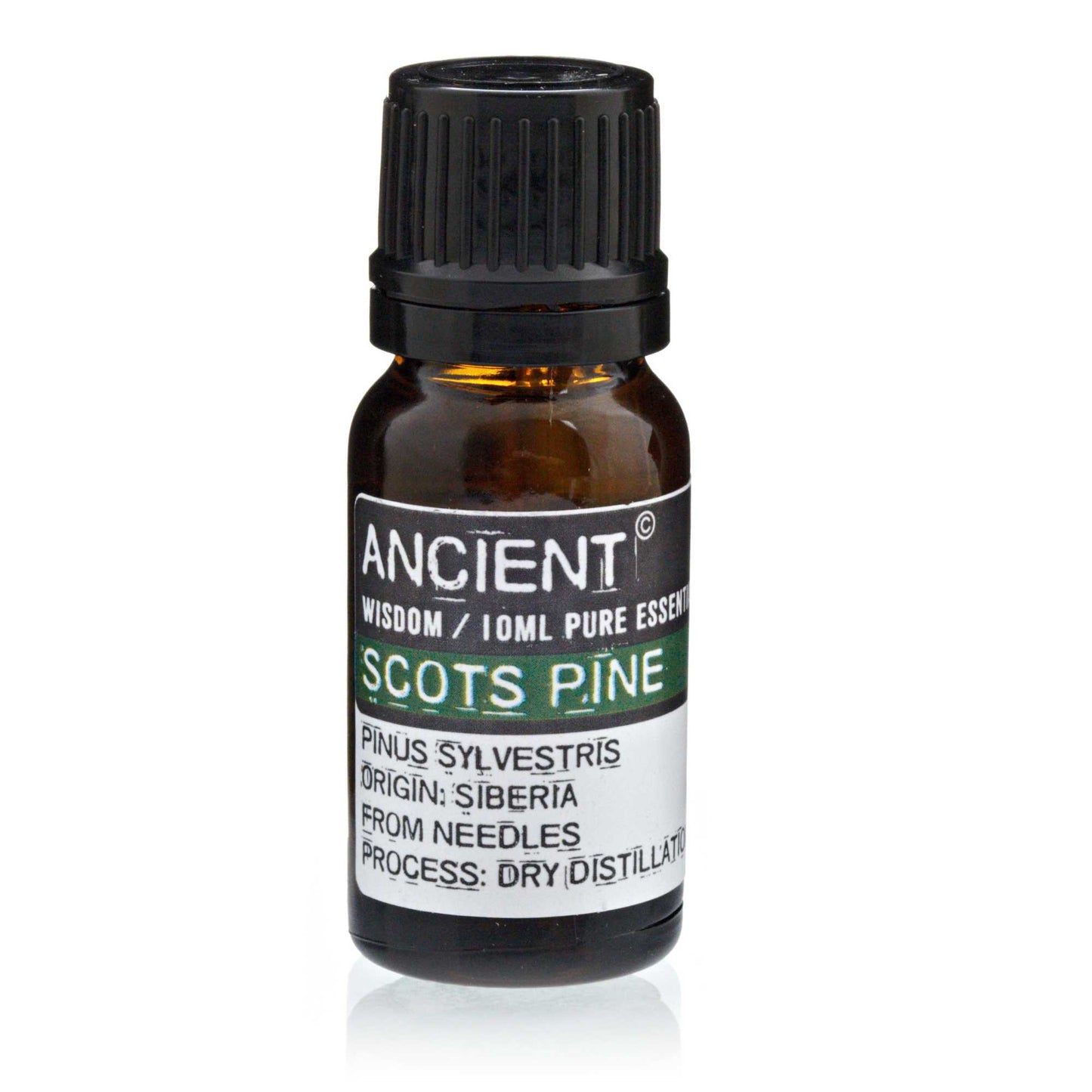 Wild Pine Essential Oil