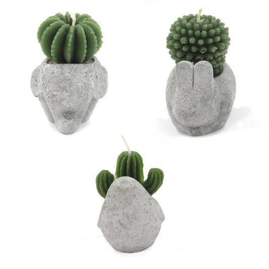 Cactus candles - Exhibition of animal bundles (asst)